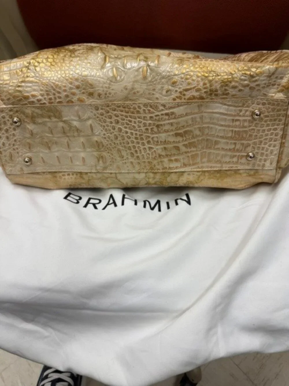 Brahmin chic python